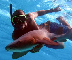 Earl swimming with a nurse shark by Andrew Kubica 